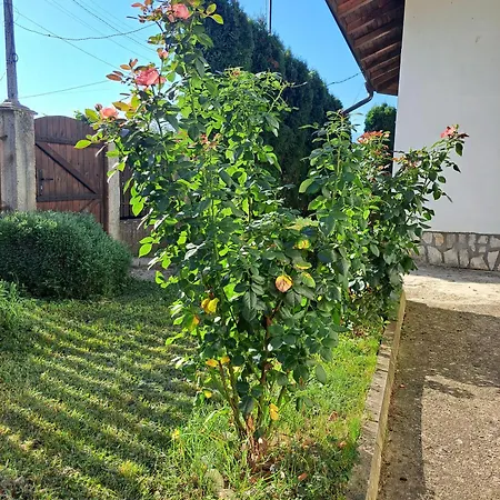 Casa de Férias наш'та къща *