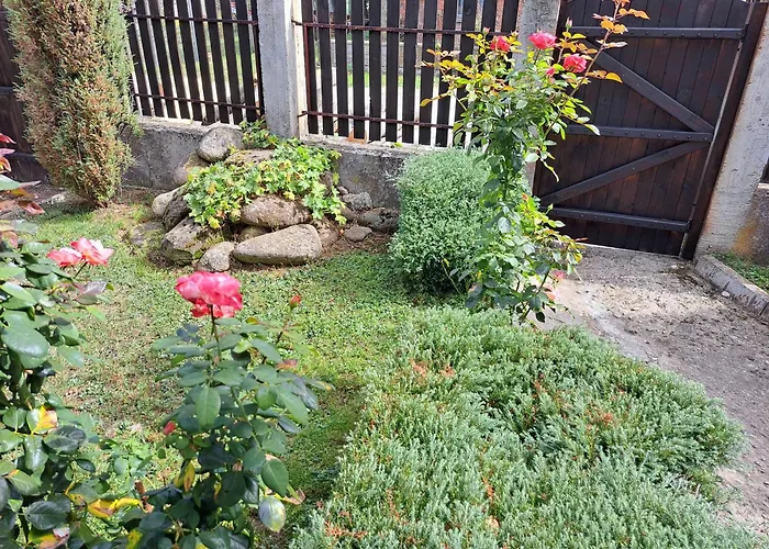 наш'та къща 別荘