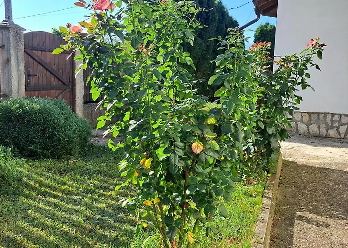 別荘 наш'та къща *