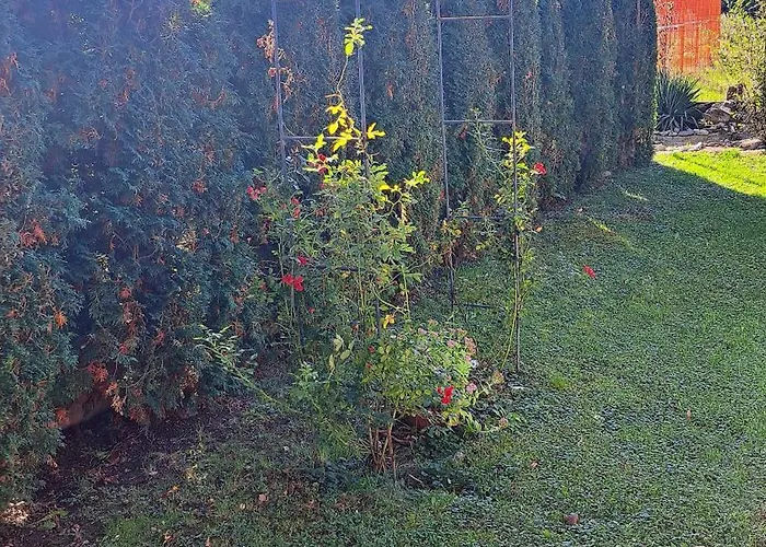 наш'та къща アプリルツィ