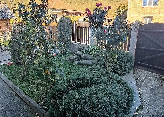 наш'та къща 別荘 *